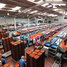 Mersin Soylu Gıda Fabrika