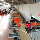 Mersin Soylu Gıda Fabrika