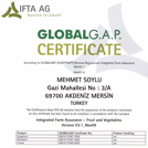 Global G.A.P Certificate