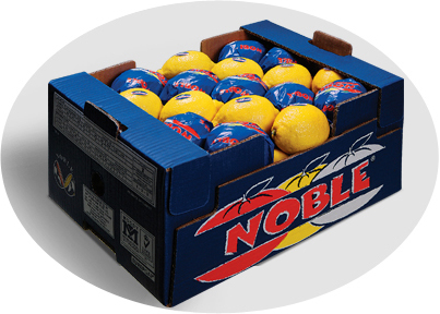 Türkiye limon