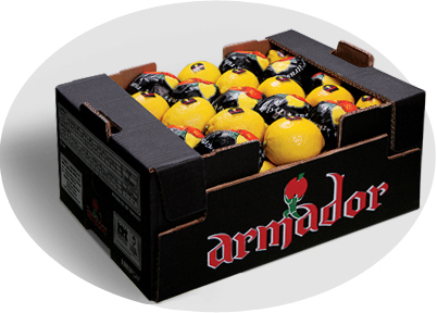 Mersin Türkiye limon