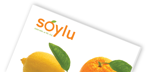 Mersin Narenciye